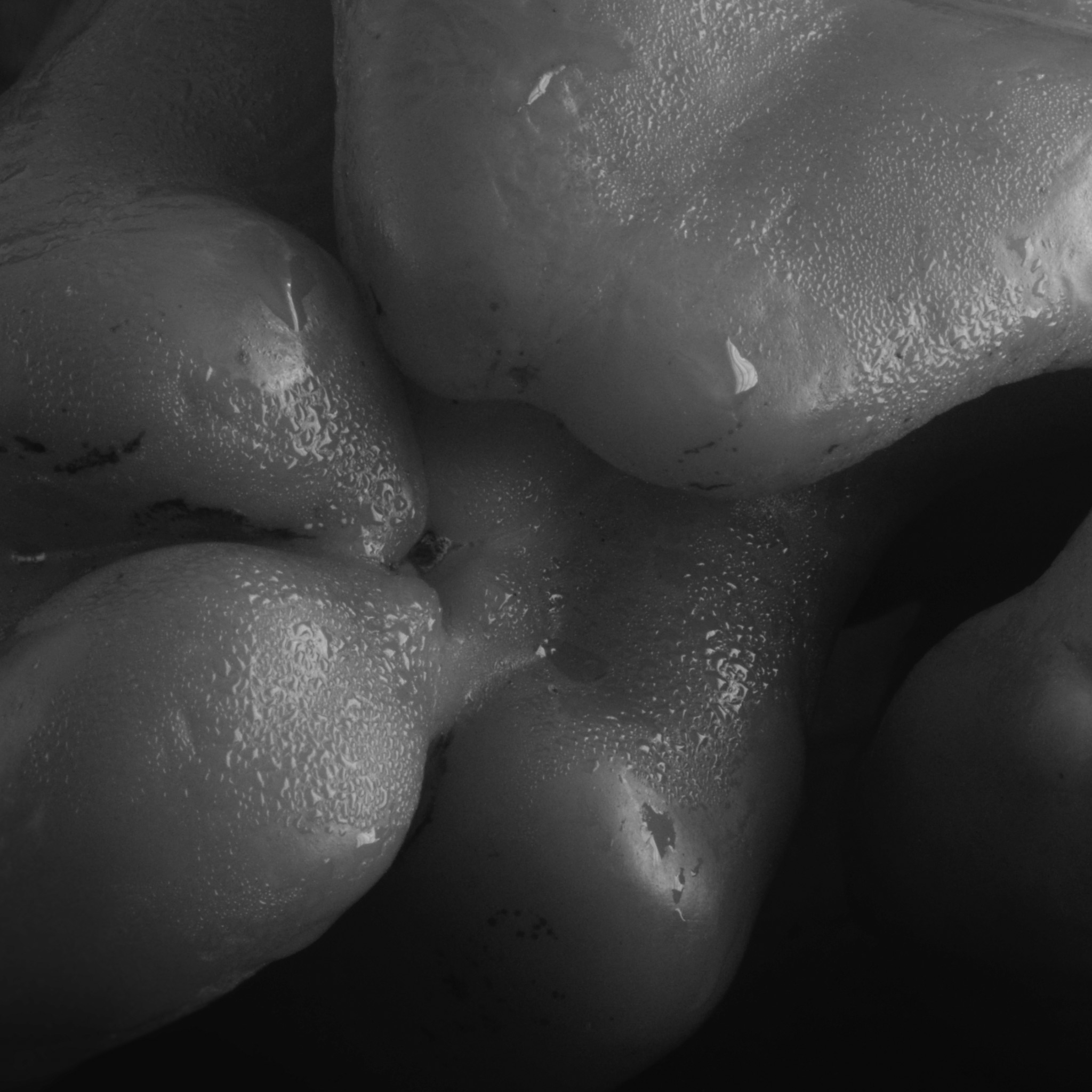 B0001647_Crop